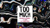 Too Much(Audio version)