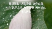 最新歌曲(以我深情、许你白首)执子之手 与子偕老,地久天长