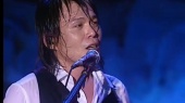 再度重相逢(2009太空弹演唱会)