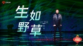 歌曲:生如野草(Live)