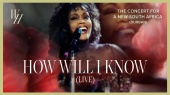 How Will I Know(The Concert for a New South Africa (Durban) - LIVE)